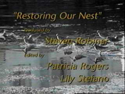 Restoring our Nest